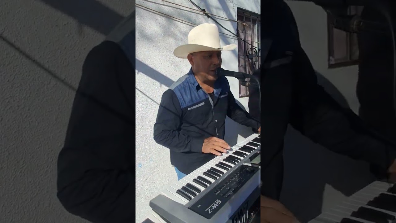 Peraltas musical 🎶 