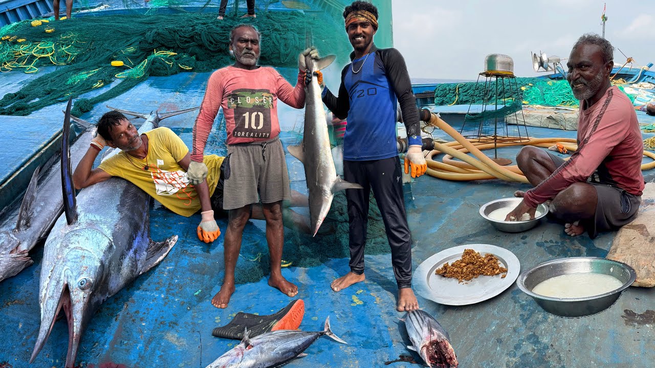 WOW‼️ Fishermen Rescue Sea Turtle from Net