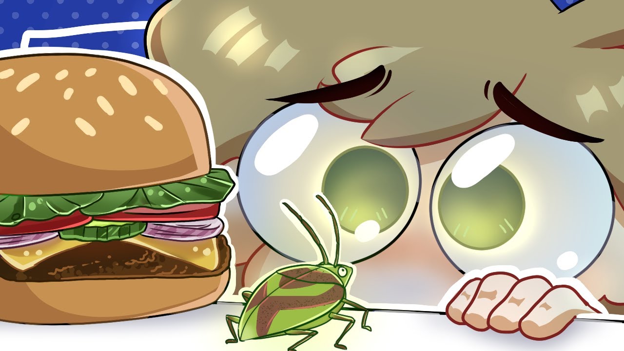 My School Luch Experience | Storytime