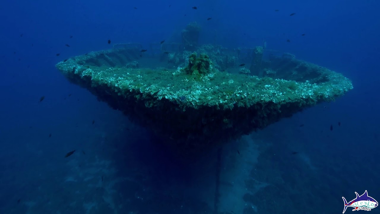 Salento Diving ® Immersioni, corsi sub, relitto torrevado Tevfik Kaptain One, Leuca, Puglia diving
