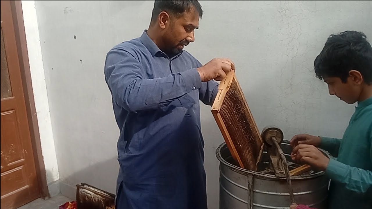 Honey 🍯 nikaalne ka tarika شہد نکالنے کا طریقہ🐝🐝🍯🍯💯🇵🇰🐝🍯
