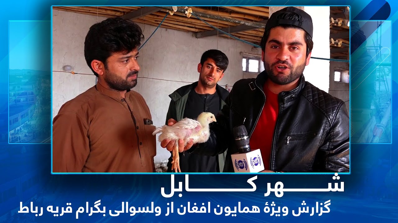 #HamayonAfghan