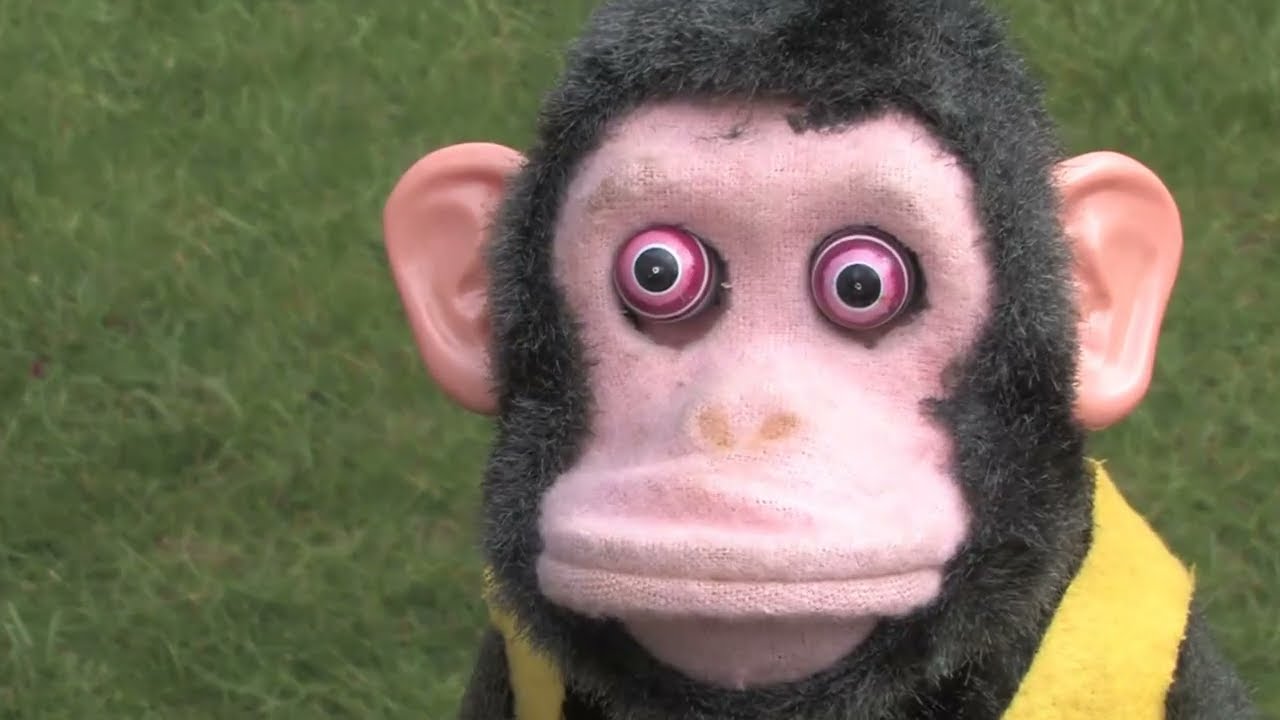 Musical Jolly Chimp The Satellite Dish