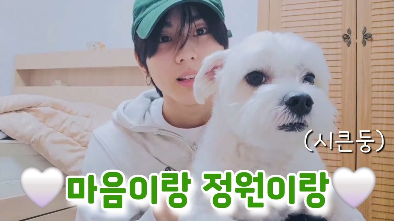 [엔하이픈 | 정원&마음] 우리 마음이가 왜 이럴까 feat. 불미스러운 일이 일어났어요