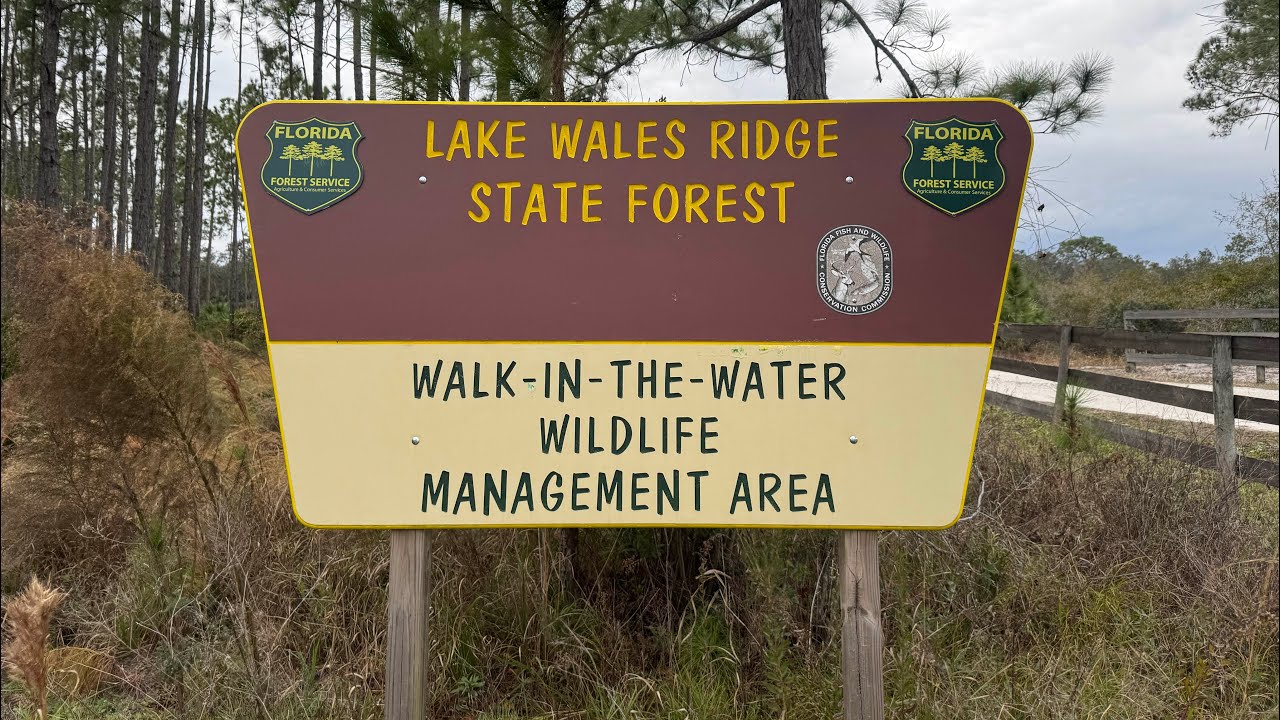 Lake Wales Ridge State Forest, WALK-IN-THE-WATER Tract, Lake Wales, FL 