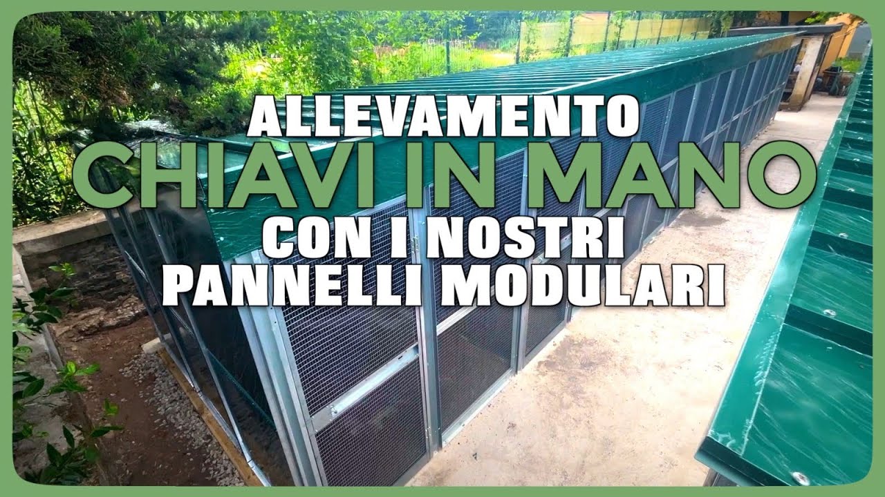 Firenze: allevamento chiavi in mano grazie ai nostri pannelli modulari