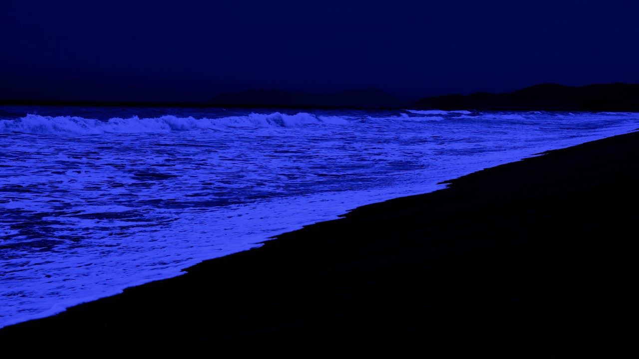 (Без рекламы) Терапия бессонницы — звуки океана для снятия негативного напряжения с помощью нежных в