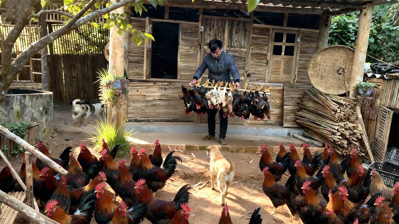 Buying Many Capon Chickens from a Rural Man to sell to people in the city.