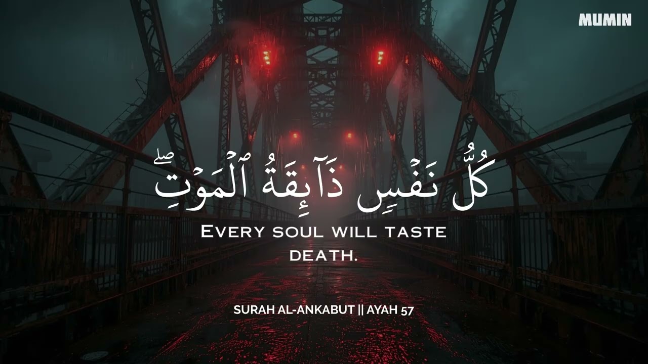 ساعة كاملة🕛🎧 | تلاوة القران بصوت محمد ديبيروف للدراسة والتركيز 📚 | راحة نفسية😌 | Muhammad Dibirov