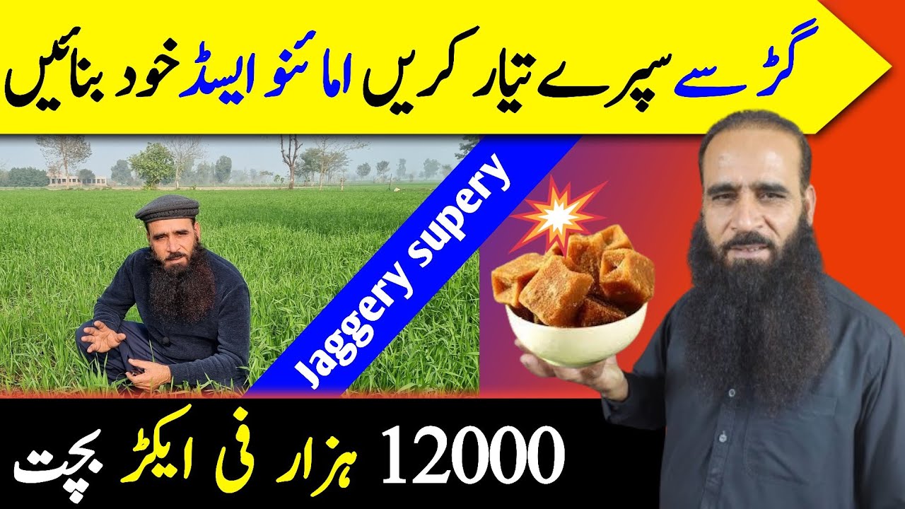jaggery benefits | jaggery making at home | organic farming |