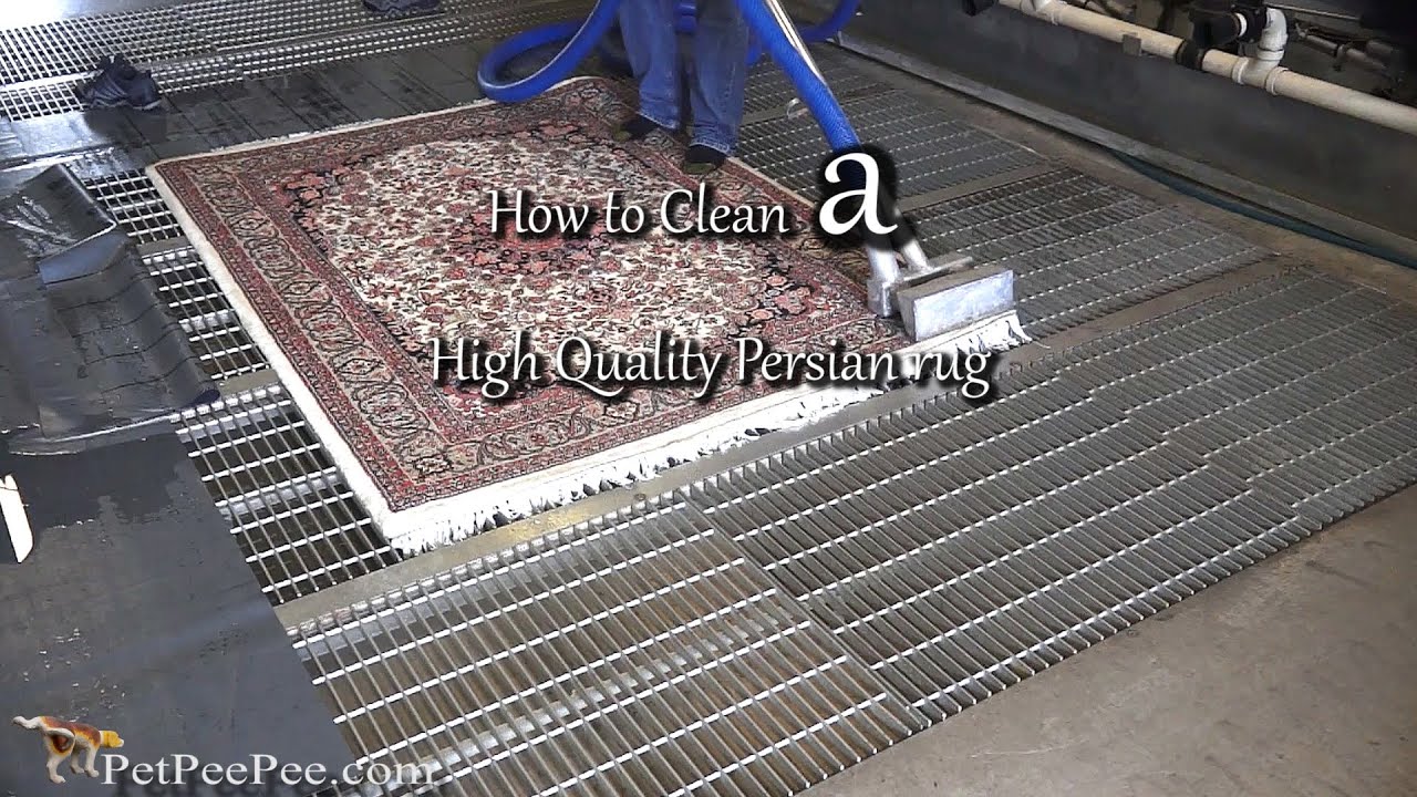 How to Clean a High-Quality Persian Rug | PetPeePee&reg;