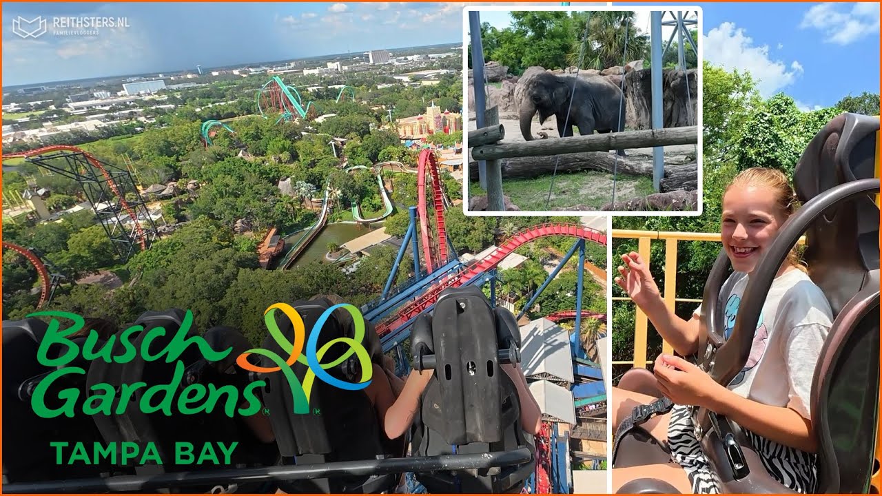 WIJ BEZOEKEN BUSCH GARDENS IN TAMPA, FLORIDA 🌳 - VLOG #716
