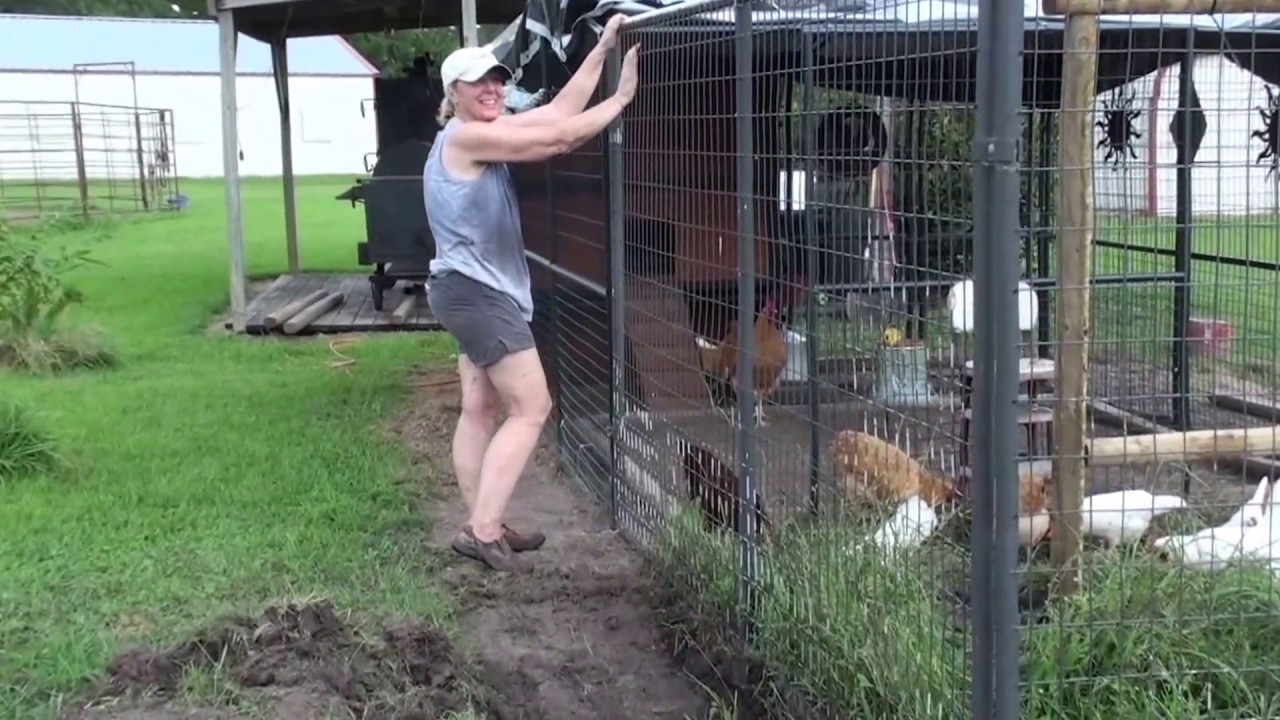 Karen's Tractor Supply Chicken Coop Expansion