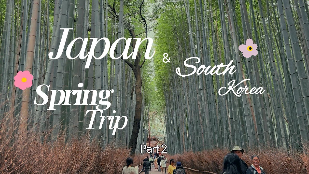 Japan & South Korea Travel Vlog Part 2 | Mt. Fuji, Nara Deer, Ichiran Ramen & Seoul Adventures! 🇯🇵🇰🇷
