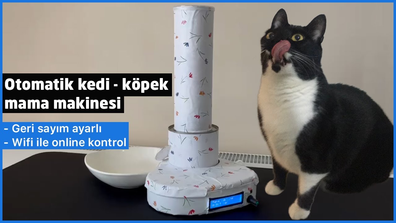 Otomatik Kedi - Köpek Mama Makinesi (Süre Ayarlı & WiFi ile kontrol) - ESP8266 Nodemcu