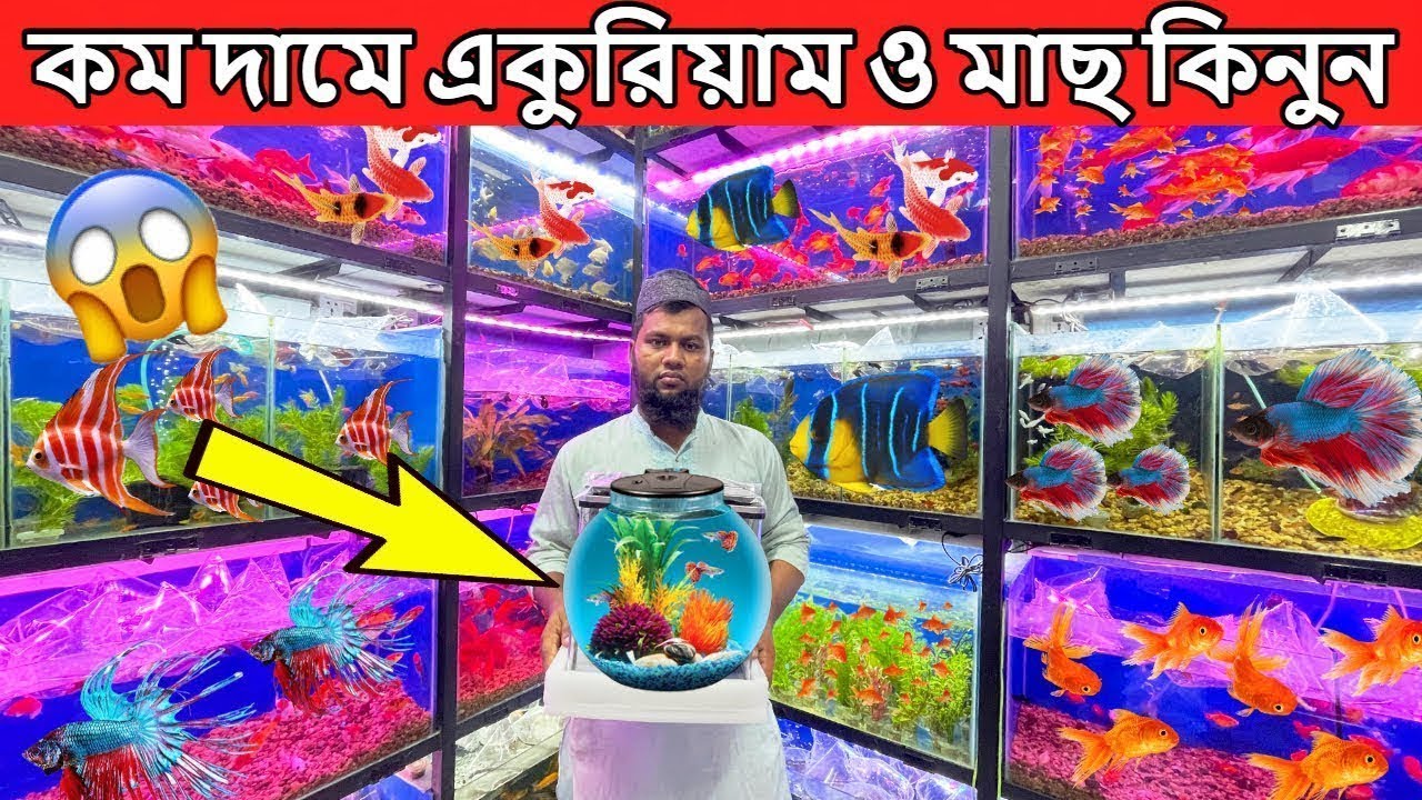 Aquarium Fish Price in Bangladesh Aquarium Price In Bangladesh 2026 Aquarium Fish Price in katabon