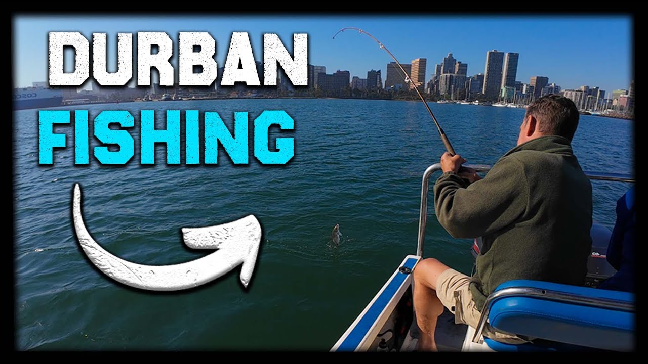 Durban Harbor Fishing: Exploring the Waters of KwaZulu-Natal!