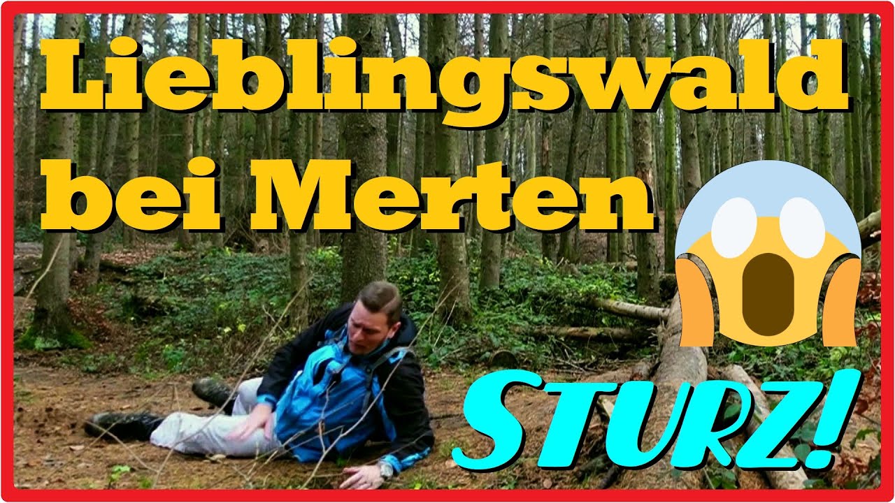 Lieblingswald bei Merten | Vorgebirge | Ville | Naturpark Rheinland [2,7K]