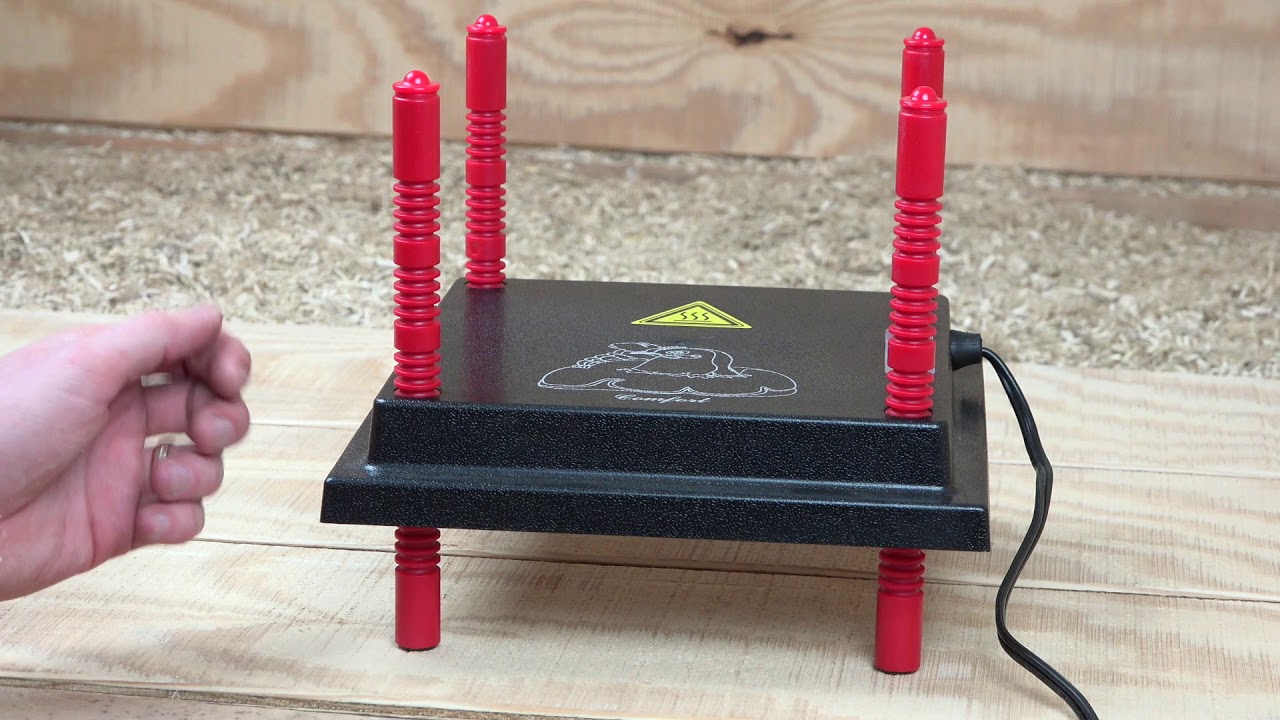 RentACoop's Chick Heater Plates