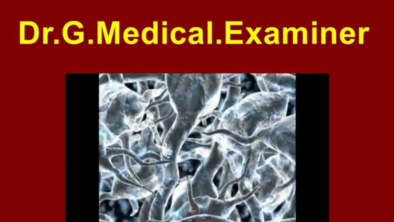 Dr  G Medical Examiner  112