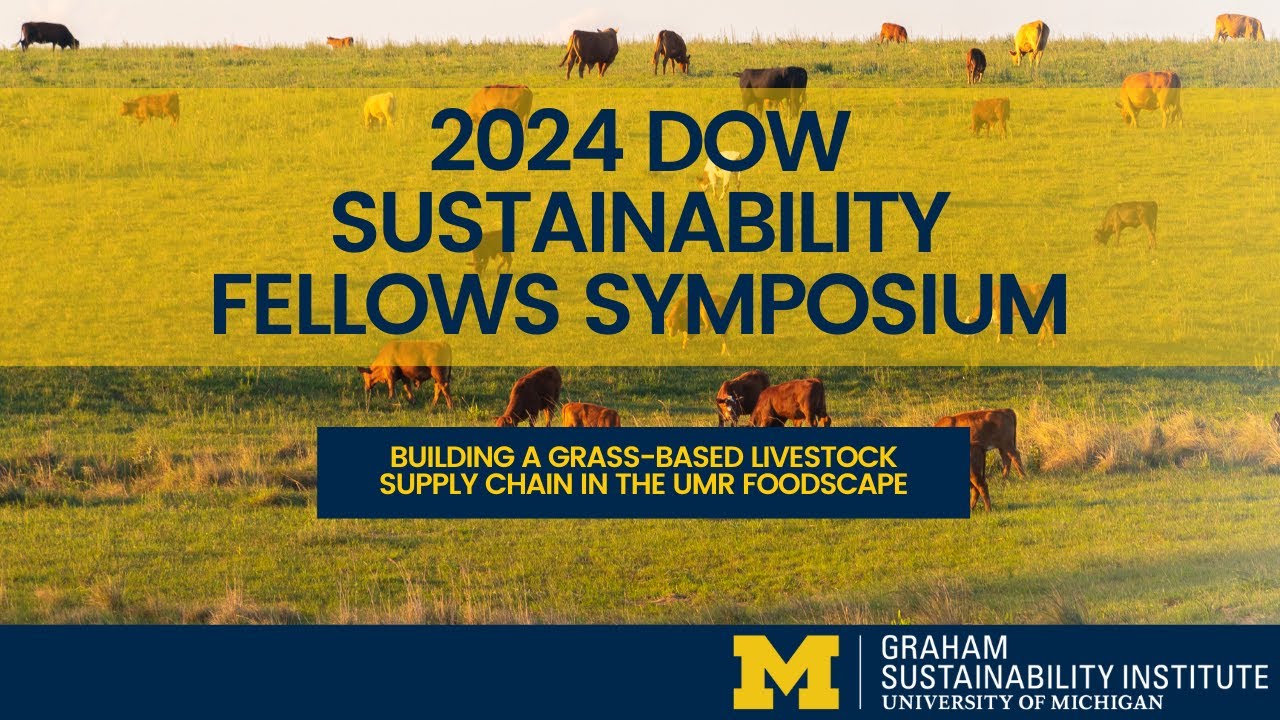 Building a Grass-based Livestock Supply Chain in the UMR Foodscape