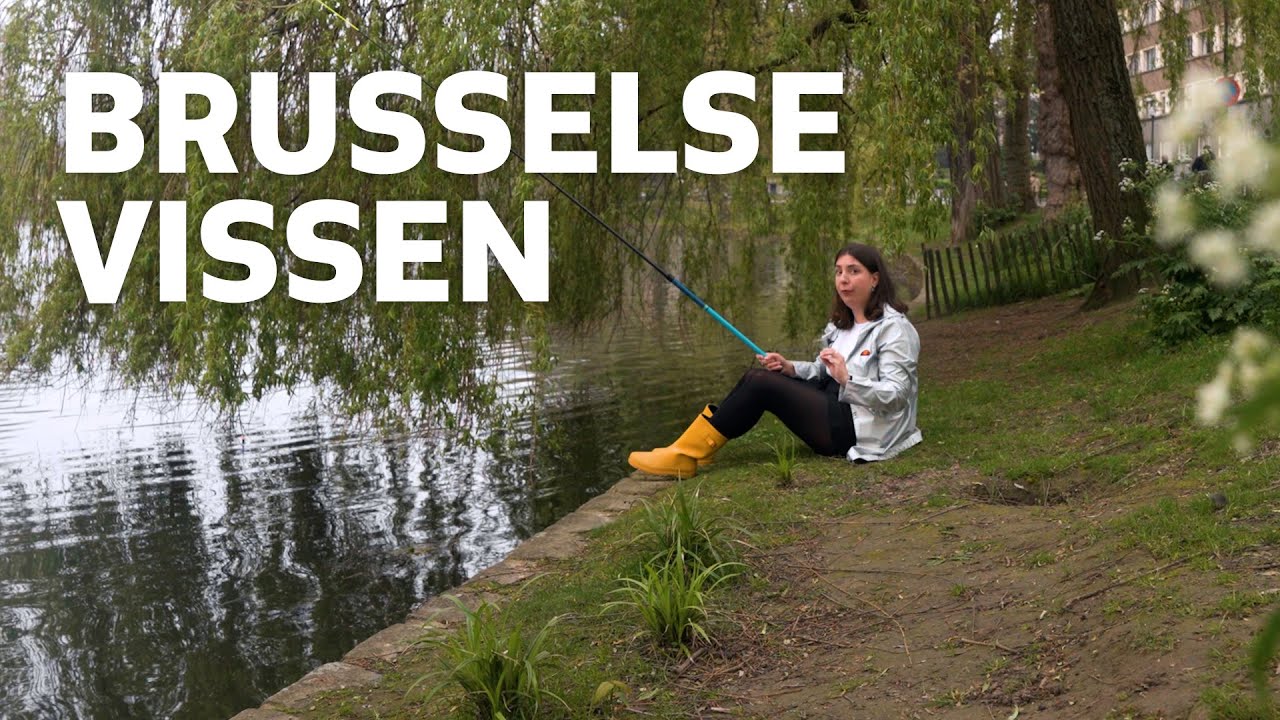 Kan je Brusselse vissen eten?