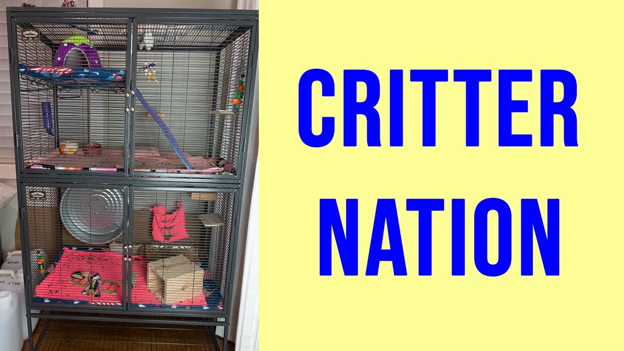 Critter Nation Cage Unboxing and Review