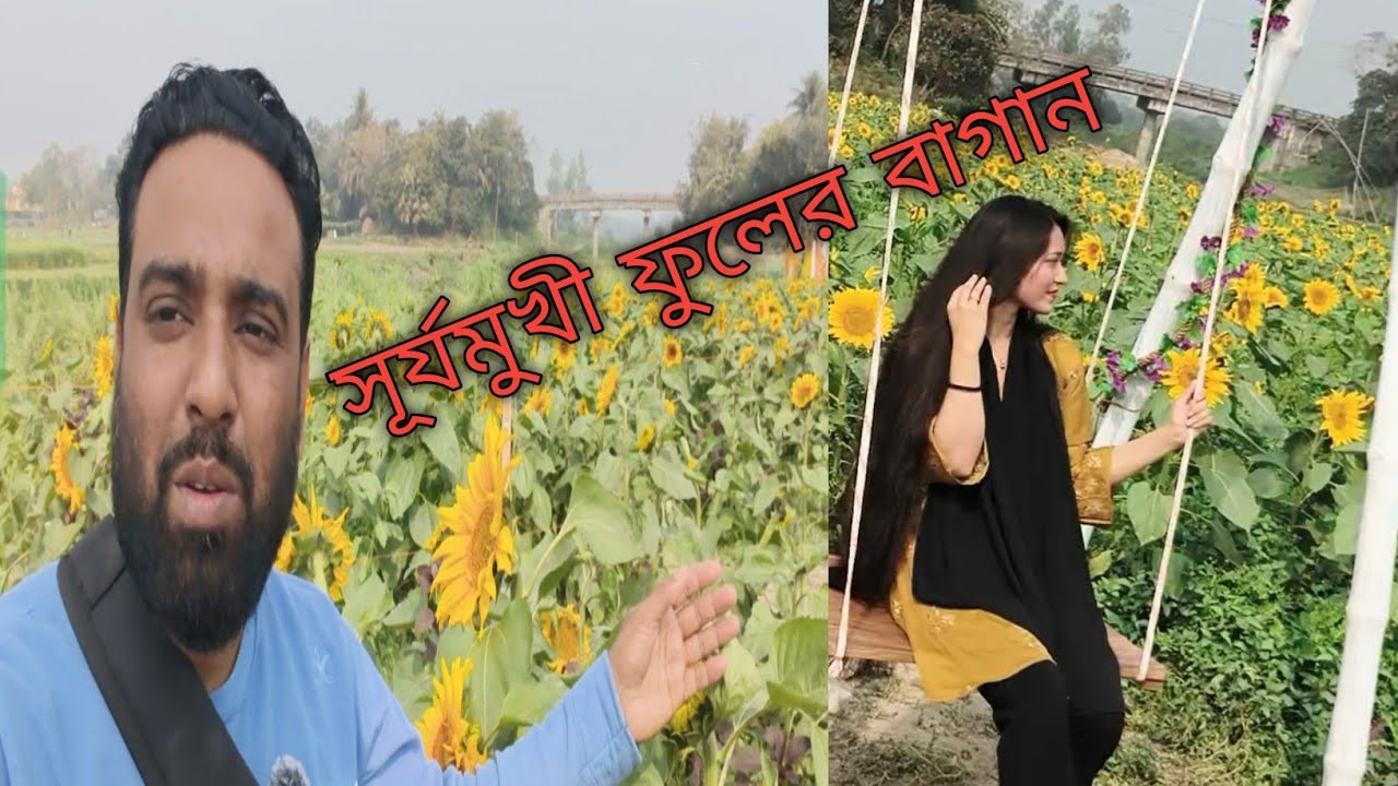 সূর্যমুখী ফুলের বাগান 
