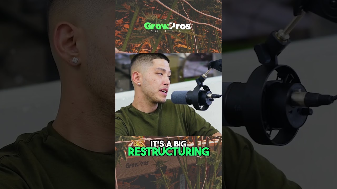 Cresco Labs Exits California  The Cannabis Industry Shift