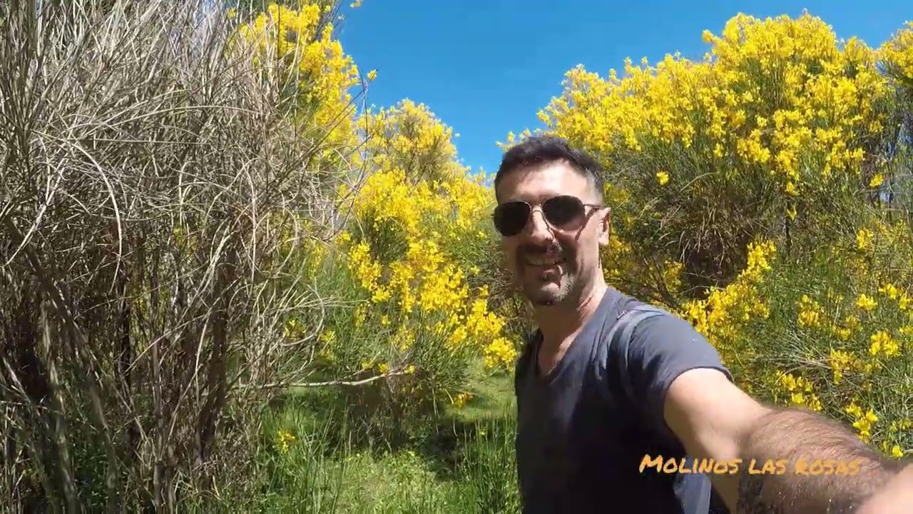 Visitamos molinos las rosas 