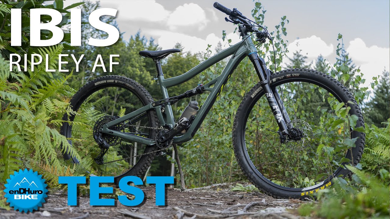 Test IBIS Ripley AF - Le VTT Down-country extrémiste