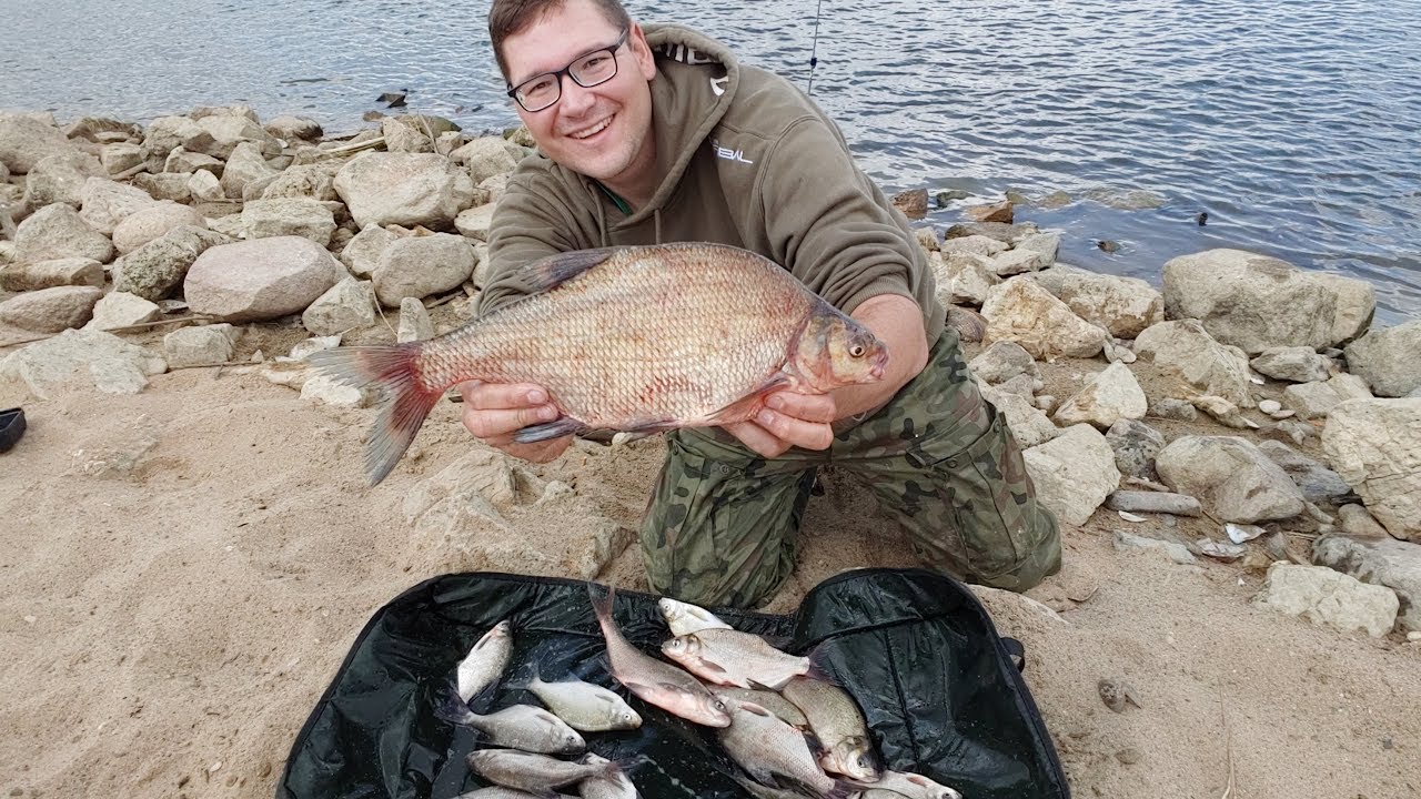 W warszawskiej Wiśle nadal są leszcze! - Warszawski feeder - Lato z wędką 2019
