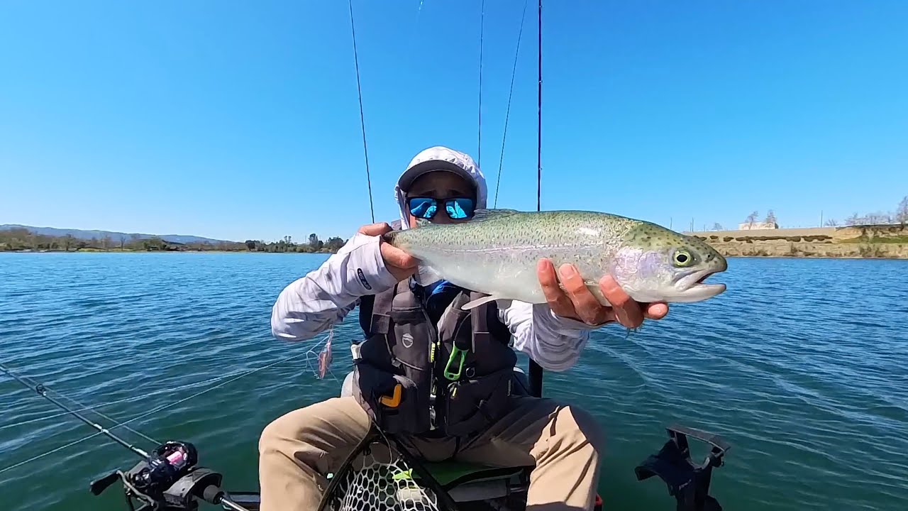 Testing the Nako FF01 Cormorant BFS Reel & Working the Drag