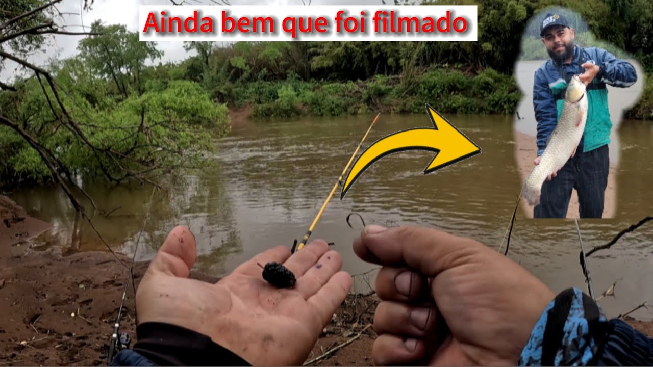 Cardumes de CARPA CAPIM gigantes na barranca, mas eu usei uma TÉCNICA infalível para CAPTURAR elas !