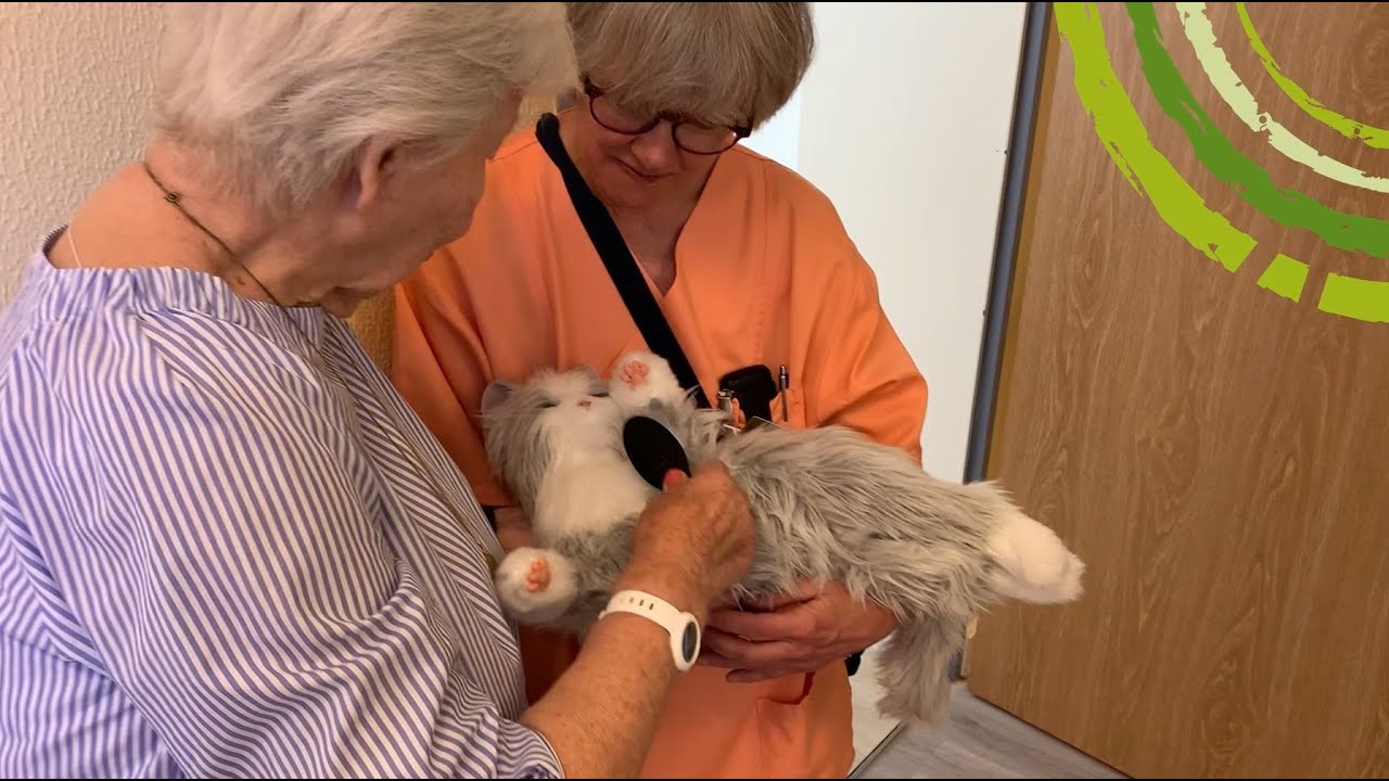 Wie eine falsche Katze echte Erinnerungen weckt