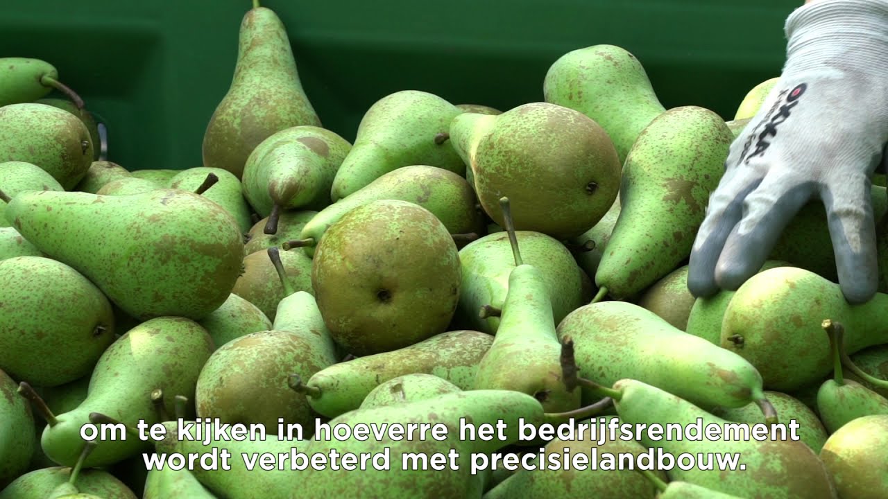 Gewassensing en opbrengstmetingen voor meer rendement in de fruitteelt (NL ondertiteld)