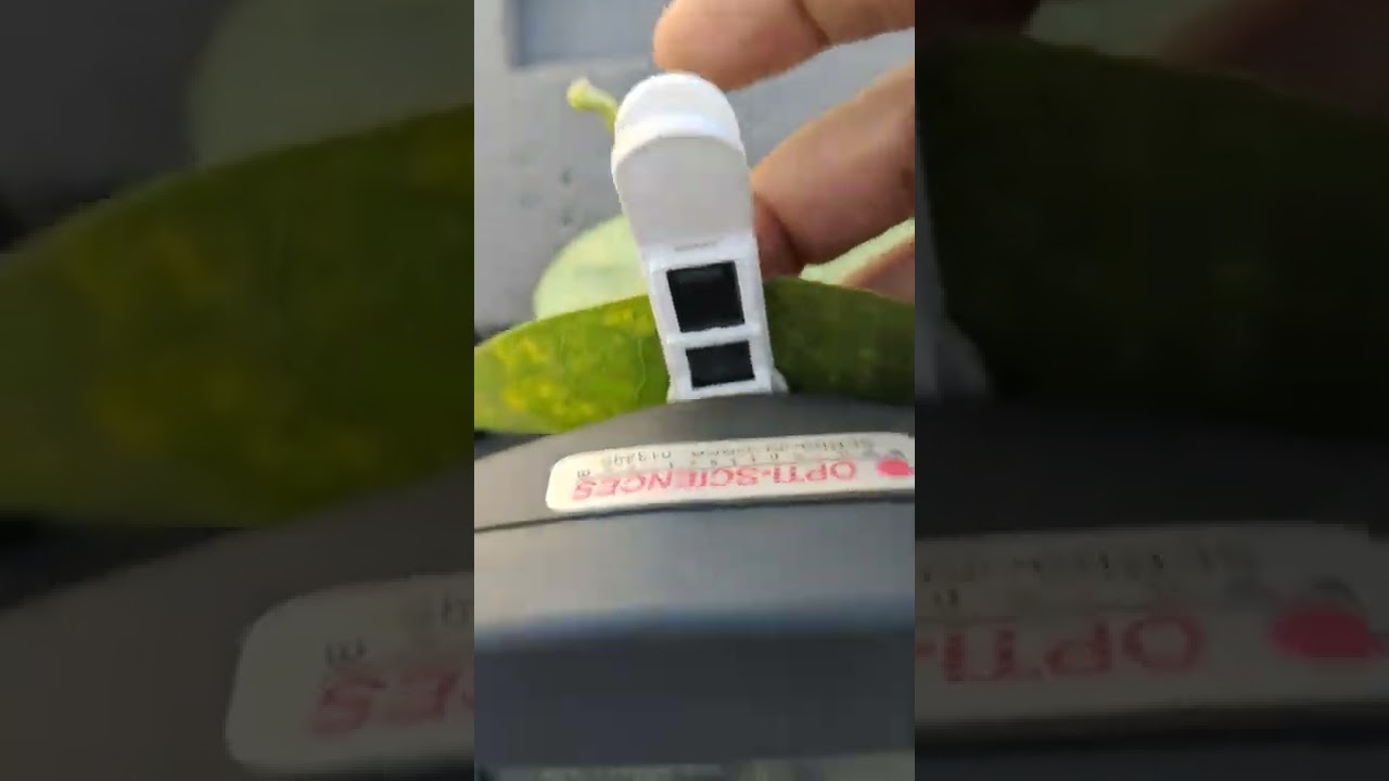 Chlorophyll Fluorescence OS30p+