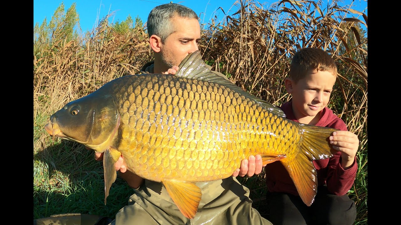 Pèche de la carpe père et fils, une nuit au canal.