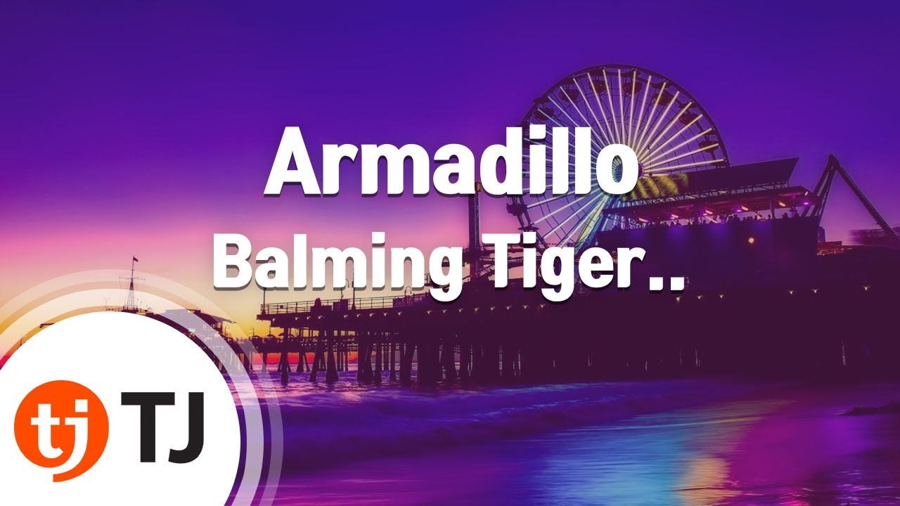 [TJ노래방] Armadillo - Balming Tiger(Feat.Omega Sapien,Byung Un) / TJ Karaoke