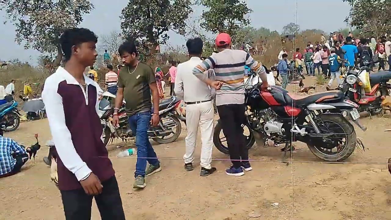 পালগাঁ_পুরুলিয়া Palga Murga Lorai 2026পালগাঁ পুরুলিয়া Purulia Palga Mela palga Mela Murga Lorai 