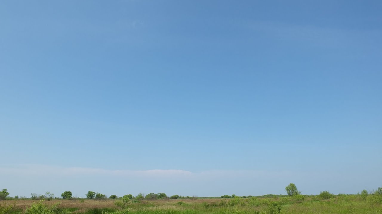 Звуки птиц. В Ханкайской долине. Primorsky Krai