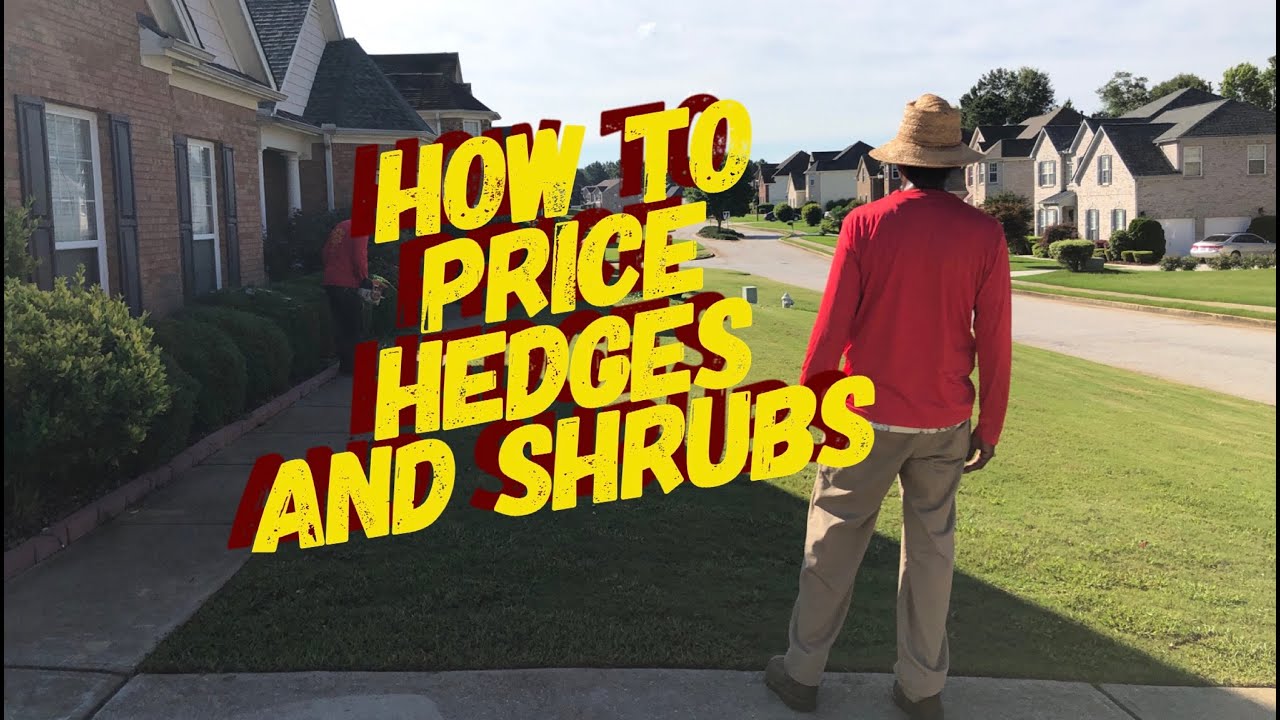 How To Price Hedges And Shrubs (The Quick Cutz Way)