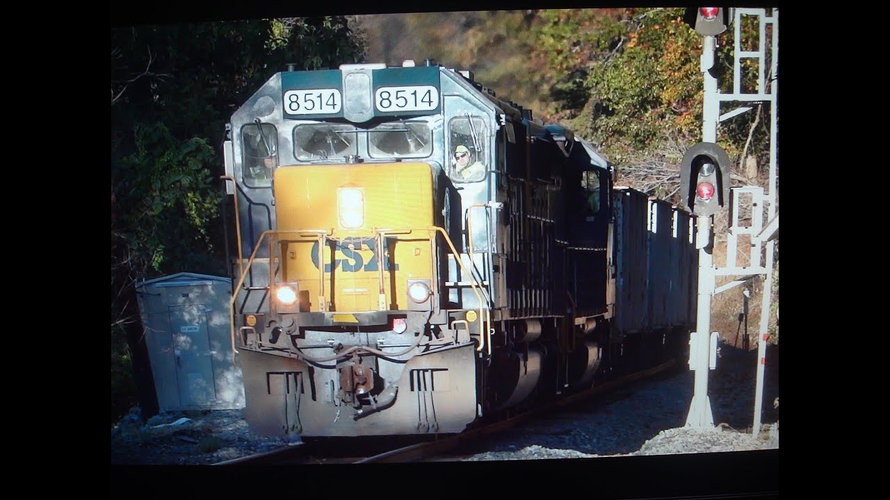 🦌 CSX EMD Crossing Gun Road With Deer