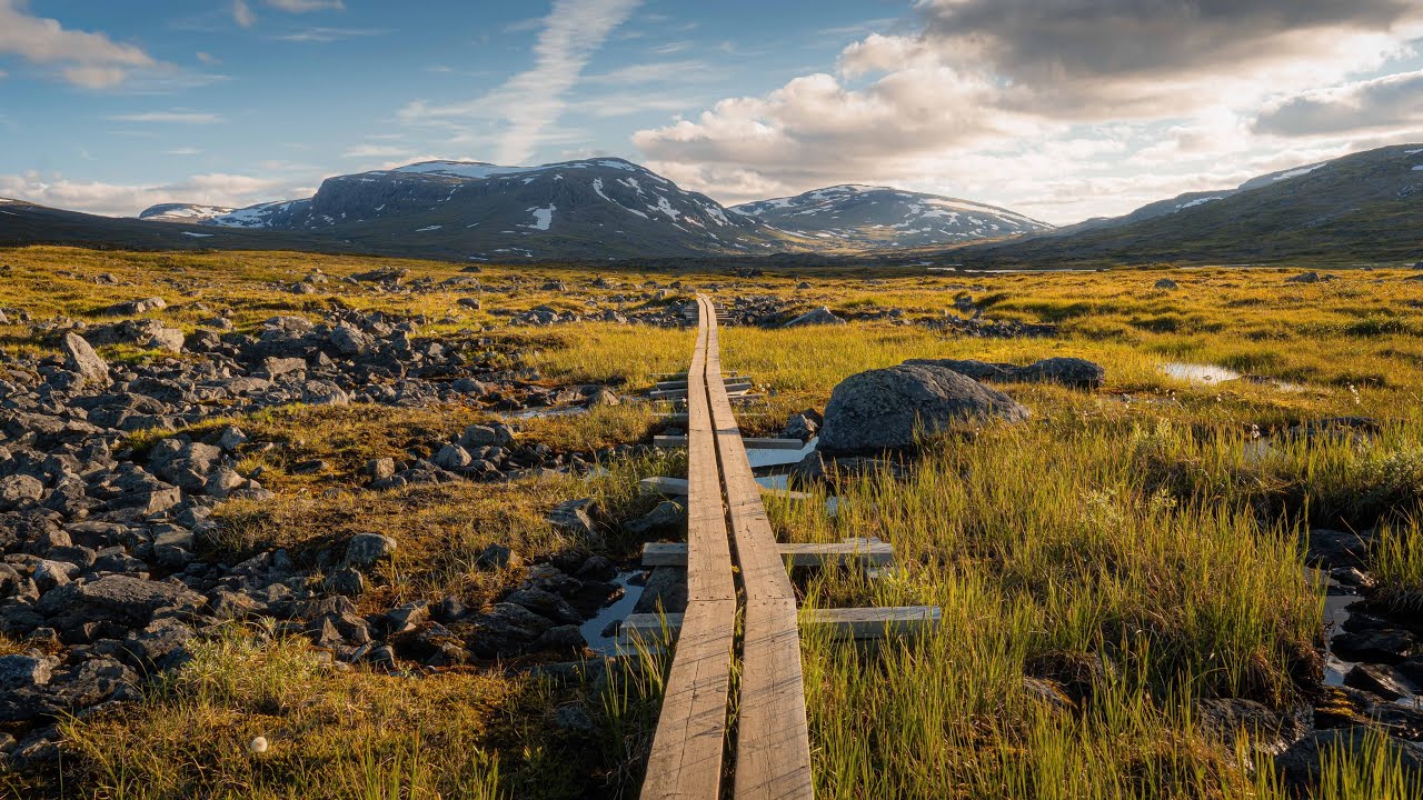 Solo Hiking 120km Along The King's Trail in Sweden
