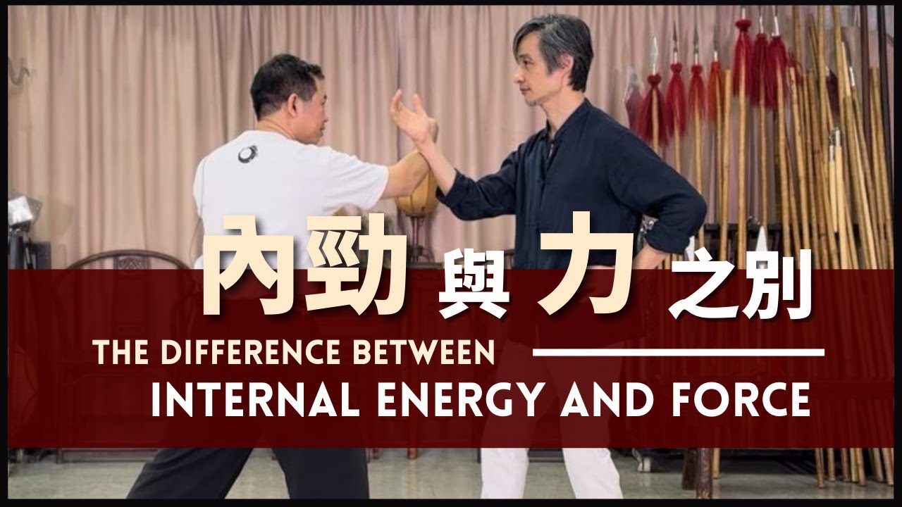 The Difference Between Internal Energy and Force 內勁 與 力 之別