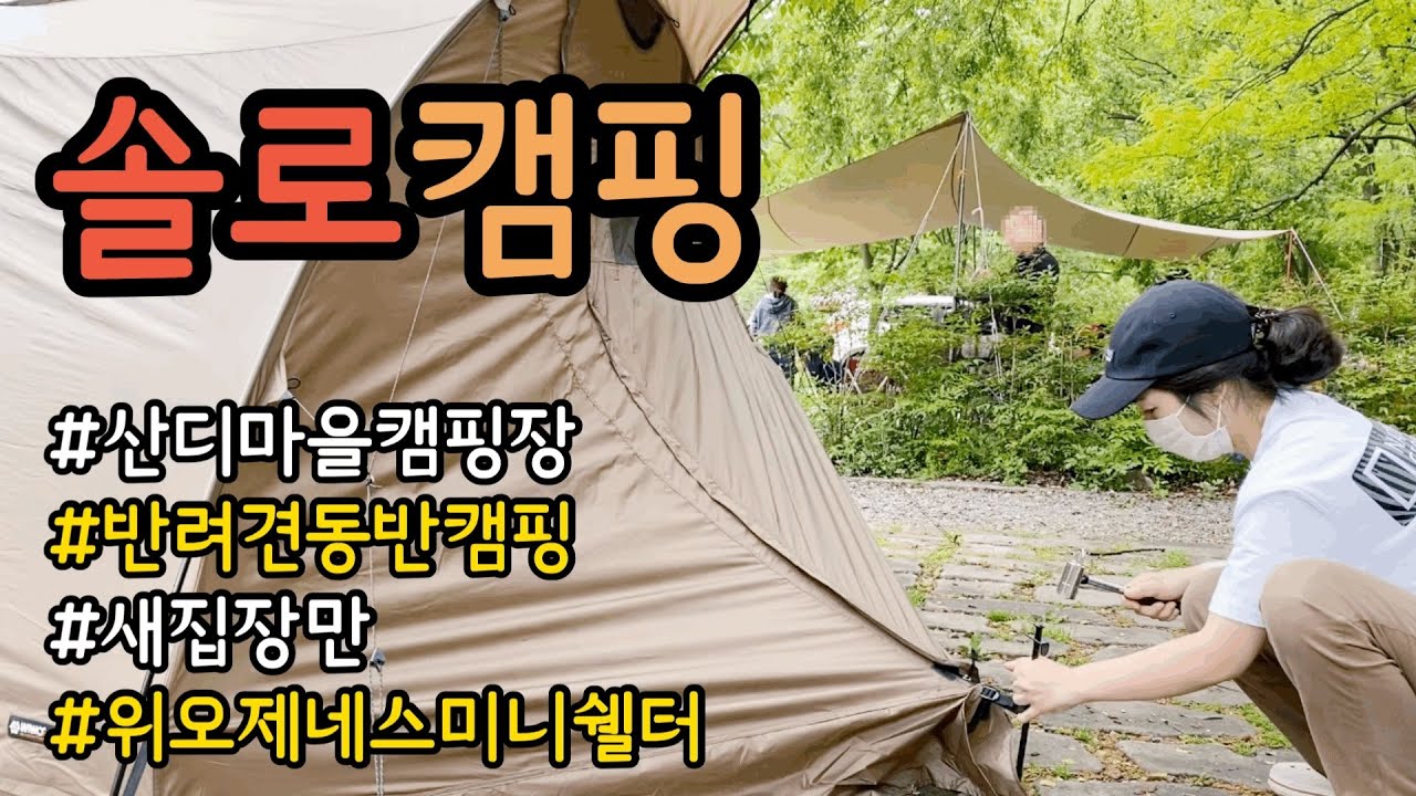 [캠핑vlog] 산디마을캠핑장 | 반려견동반캠핑 | 새집장만 | 위오제네스미니쉘터 | 솔로캠핑 | 여자솔로캠핑 | 나홀로캠핑 | 푸짐한 먹방 없음