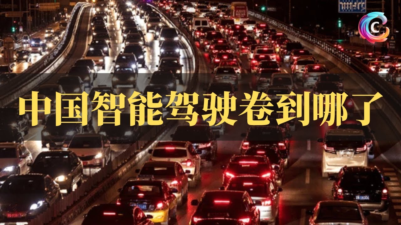 中国智能驾驶卷到哪了｜VLA视觉语言动作模型｜端到端｜世界模型｜理想｜小鹏｜蔚来