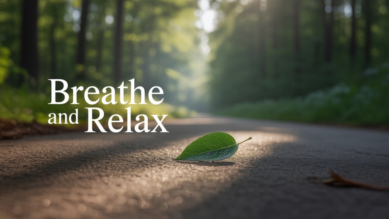 Respira Consciente – Música y Guía para Calmar tu Mente en 10 Minutos
