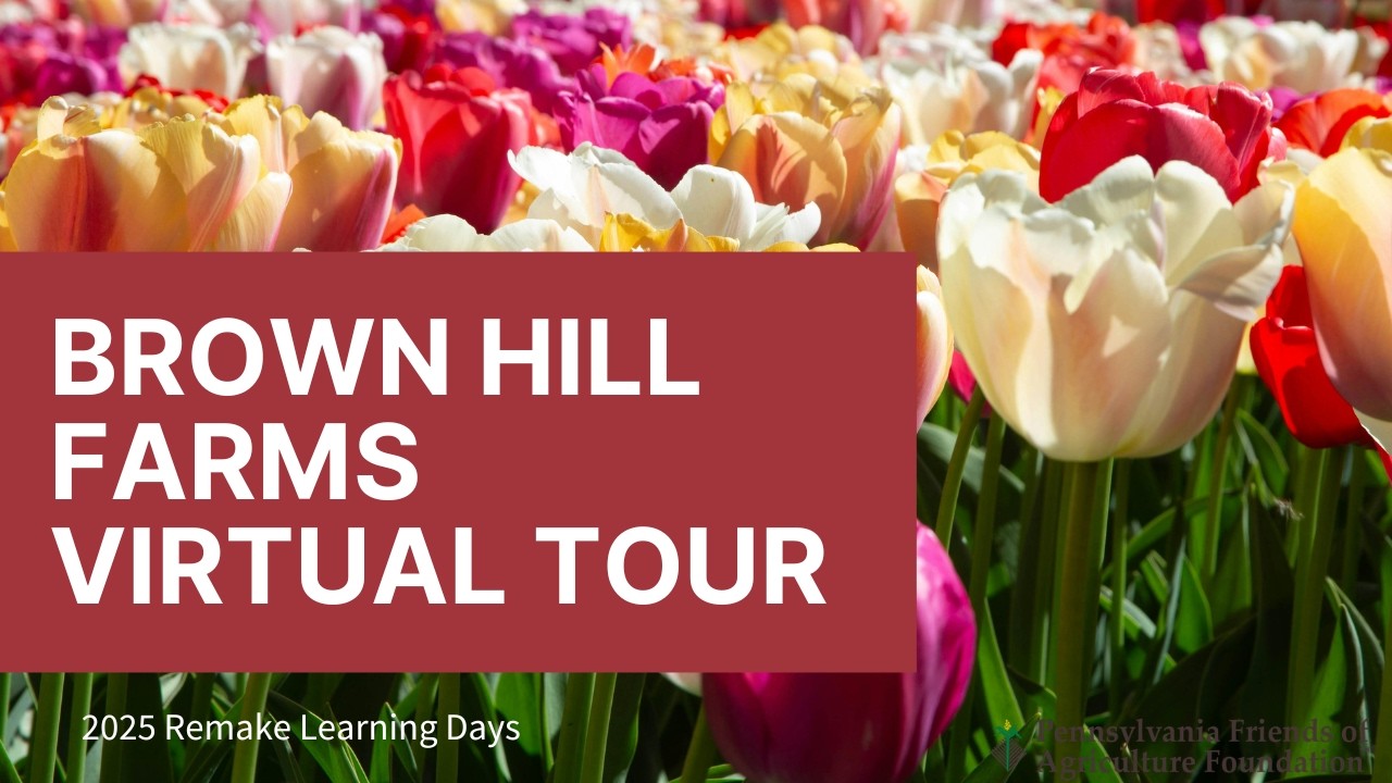 Brown Hill Farms Virtual Tour