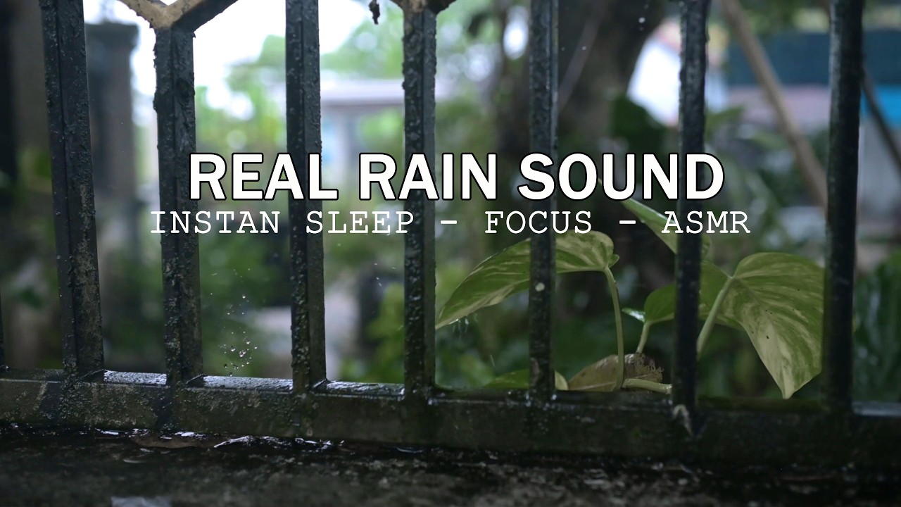 Tingly Rain ASMR: Close Up Rain on Fence for Relaxation